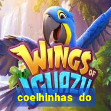 coelhinhas do brasil acompanhantes